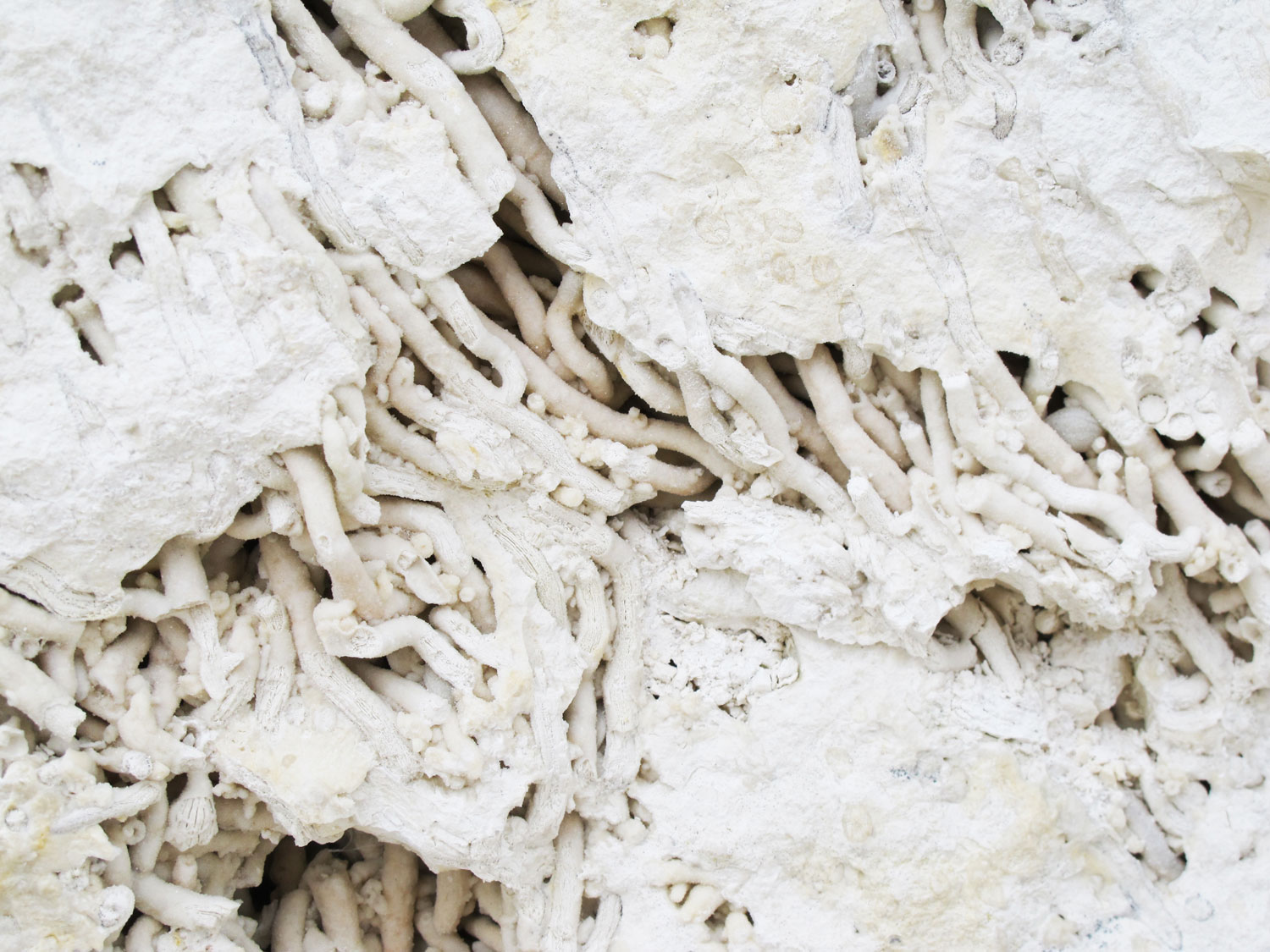 Faxe is a world known manufacturer of natural coral limestone.